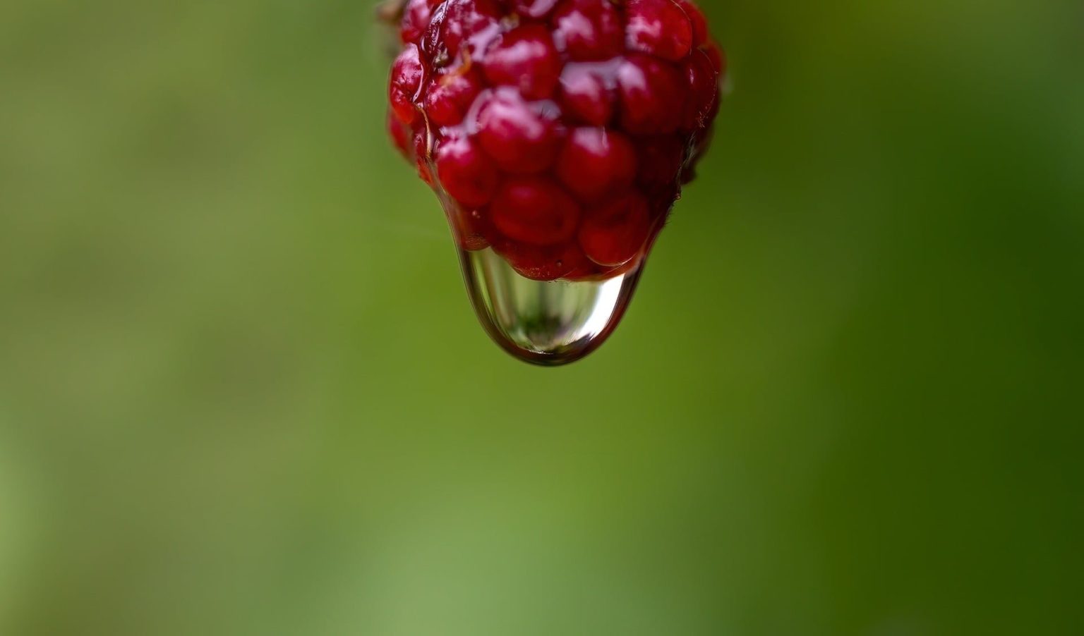 red and green